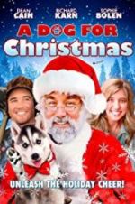 Watch A Dog for Christmas Nowvideo