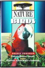 Watch PBS Nature - Extraordinary Birds Nowvideo