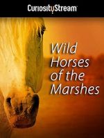 Watch Wild Horses of the Marshes Nowvideo