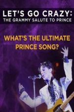 Watch Let\'s Go Crazy: The Grammy Salute to Prince Nowvideo