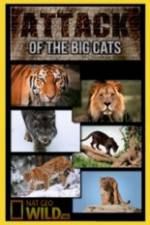 Watch National Geographic Attack Of The Big Cats Nowvideo