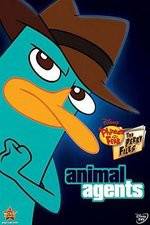 Watch Phineas And Ferb Animal Agents Nowvideo