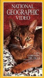 Watch Cats: Caressing the Tiger Nowvideo