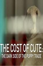 Watch The Cost of Cute: The Dark Side of the Puppy Trade Nowvideo