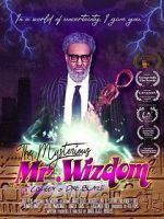 Watch The Mysterious Mr. Wizdom Nowvideo