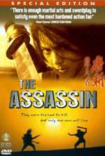 Watch The Assassin Nowvideo