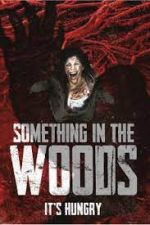 Watch Something in the Woods Nowvideo