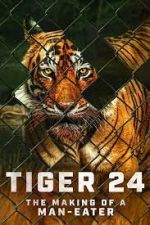 Watch Tiger 24 Nowvideo