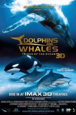 Watch Dolphins and Whales 3D Tribes of the Ocean Nowvideo