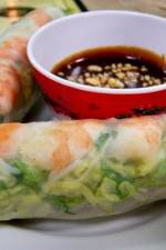 Watch Anatomy of a Springroll Nowvideo