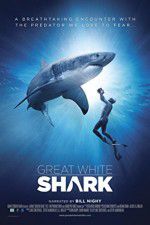 Watch Great White Shark Nowvideo