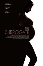 Watch The Secret Life of a Celebrity Surrogate Nowvideo