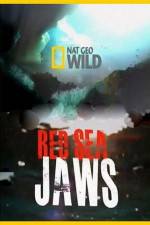 Watch National Geographic Red Sea Jaws Nowvideo