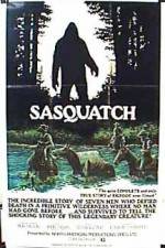 Watch Sasquatch the Legend of Bigfoot Nowvideo