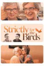 Watch Strictly for the Birds Nowvideo