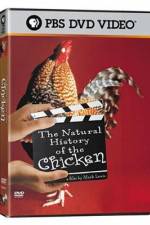 Watch The Natural History of the Chicken Nowvideo