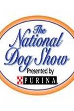 Watch National Dog Show Nowvideo