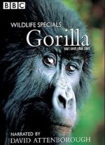 Watch Gorilla Revisited with David Attenborough Nowvideo