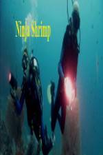 Watch National Geographic Ninja Shrimp Nowvideo