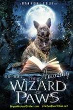 Watch The Amazing Wizard of Paws Nowvideo