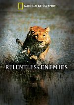 Watch Relentless Enemies Nowvideo