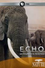 Watch Echo: An Elephant to Remember Nowvideo