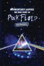 Watch Pink Floyd: Momentary Lapses - The True Story Of Pink Floyd Nowvideo