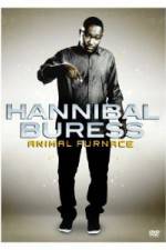 Watch Hannibal Buress Animal Furnace Nowvideo