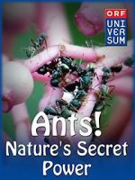 Watch Ants: Nature\'s Secret Power Nowvideo