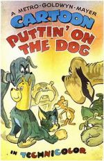 Watch Puttin\' on the Dog Nowvideo