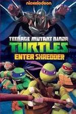 Watch Teenage Mutant Ninja Turtles: Enter Shredder Nowvideo
