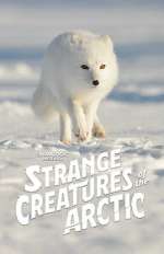 Watch Strange Creatures of the Arctic (TV Special 2022) Nowvideo