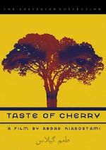 Watch Taste of Cherry Nowvideo