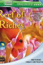 Watch Equator Reefs of Riches Nowvideo