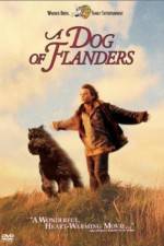 Watch A Dog of Flanders Nowvideo