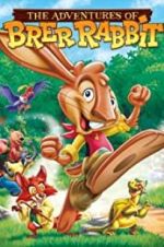 Watch The Adventures of Brer Rabbit Nowvideo