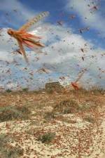 Watch Swarm Chasers: Locusts Nowvideo