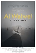 Watch Ai Weiwei: Never Sorry Nowvideo