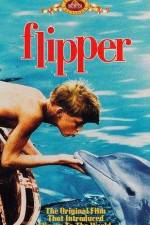 Watch Flipper Nowvideo