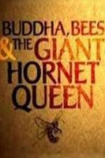 Watch Natural World Buddha Bees and the Giant Hornet Queen Nowvideo