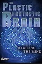 Watch The Plastic Fantastic Brain Nowvideo
