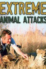 Watch Extreme Animal Attacks Nowvideo
