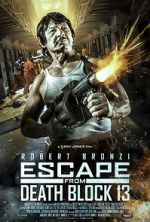 Watch Escape from Death Block 13 Nowvideo