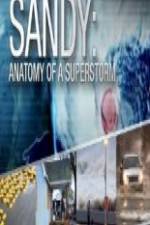 Watch Sandy Anatomy Of A Superstorm Nowvideo