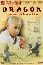 Watch Long zai Shaolin Nowvideo
