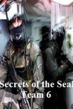 Watch Discovery Channel Secrets of Seal Team 6 Nowvideo