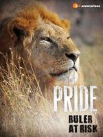 Watch Pride - Ruler\'s at Risk Nowvideo