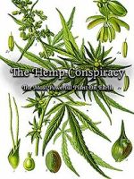 Watch The Hemp Conspiracy: The Most Powerful Plant in the World (Short 2017) Nowvideo