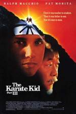 Watch The Karate Kid, Part III Nowvideo
