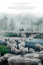 Watch Sweetgrass Nowvideo